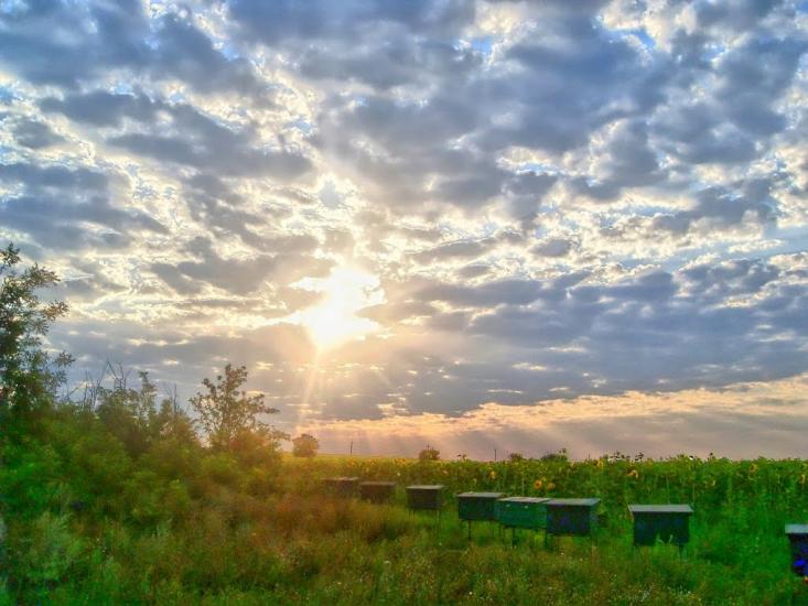 Зброшкове з panoramio.com - Зброшкове