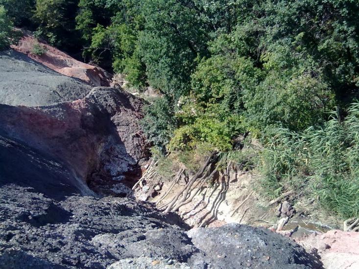 Дружне з panoramio.com - Дружное