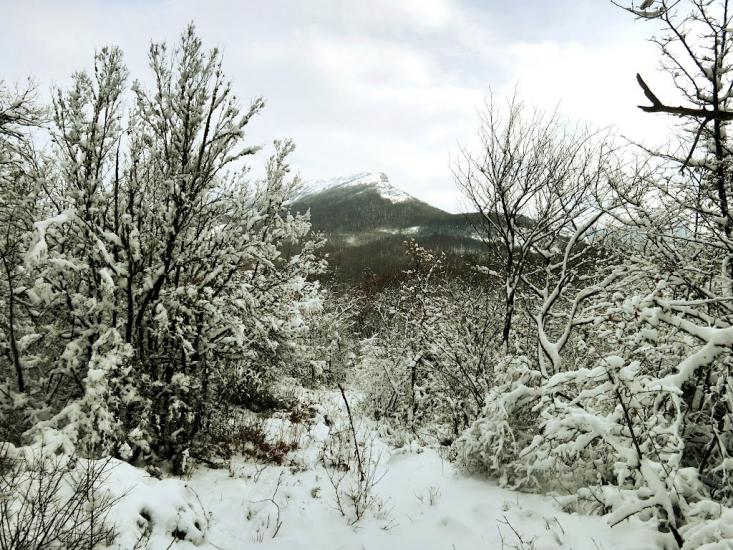 Гончарне з panoramio.com - Гончарне