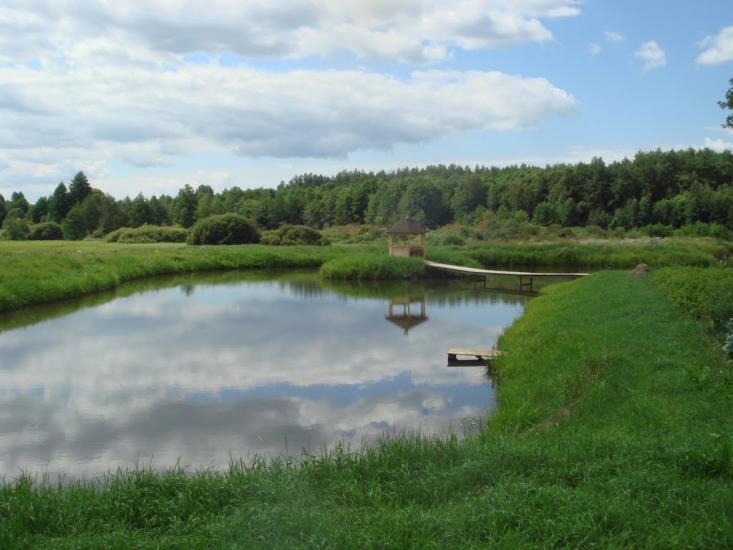 Кодра з panoramio.com - Кодра