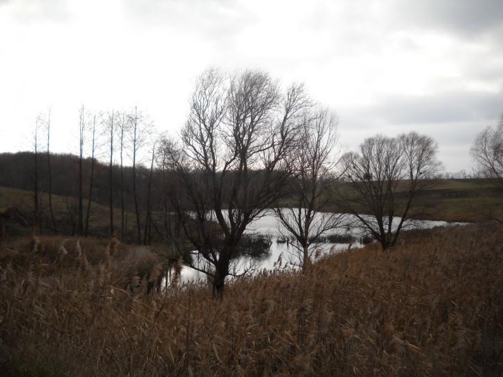 Старий Хутір з panoramio.com - Старый Хутор