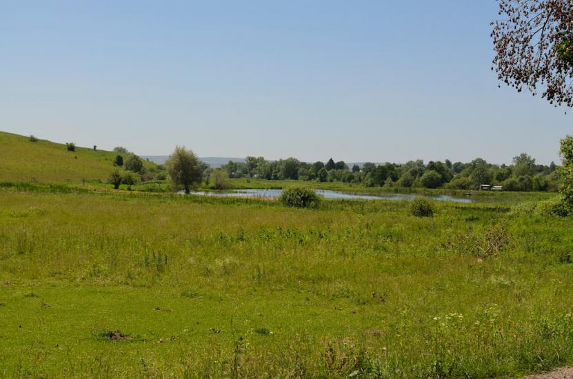 Білка з panoramio.com - Белка