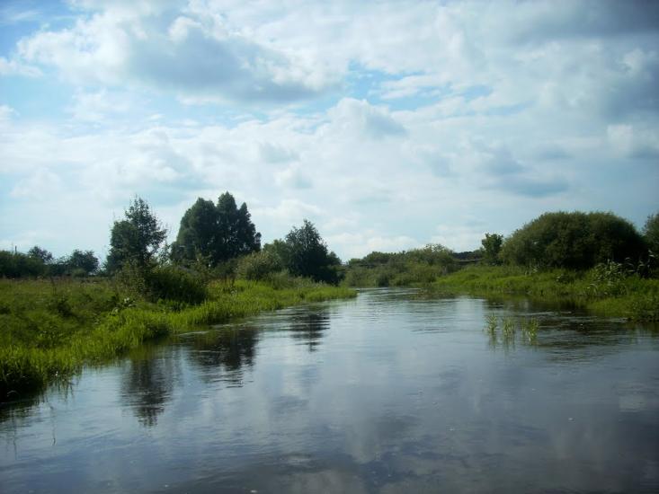 Березова Гать з panoramio.com - Березова Гать