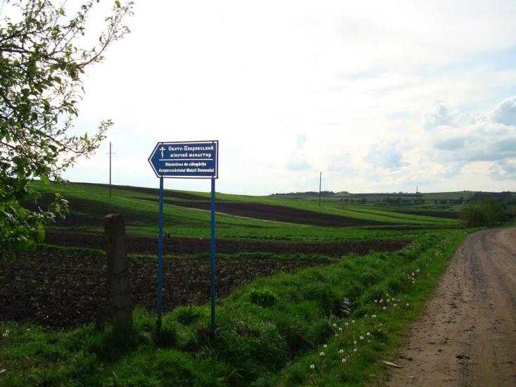 Молодія з panoramio.com - Molodiya