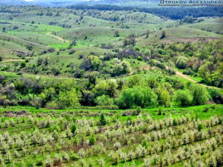 Некрасовка з panoramio.com - Некрасовка