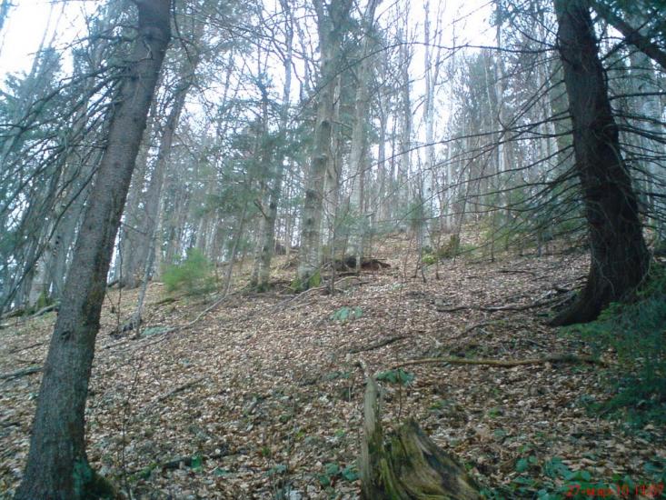 Нижня Рожанка з panoramio.com - Нижняя Рожанка