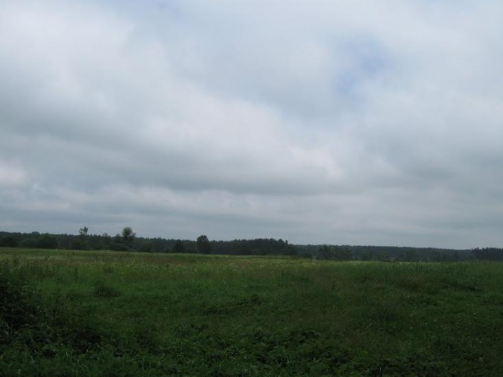 Великі Переліски з panoramio.com - Великі Переліски