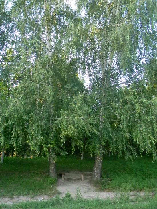 Дубіївка з panoramio.com - Дубіївка