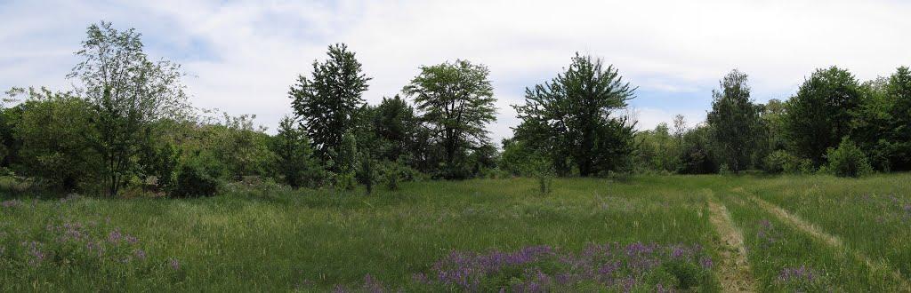 Львів з panoramio.com - Львов
