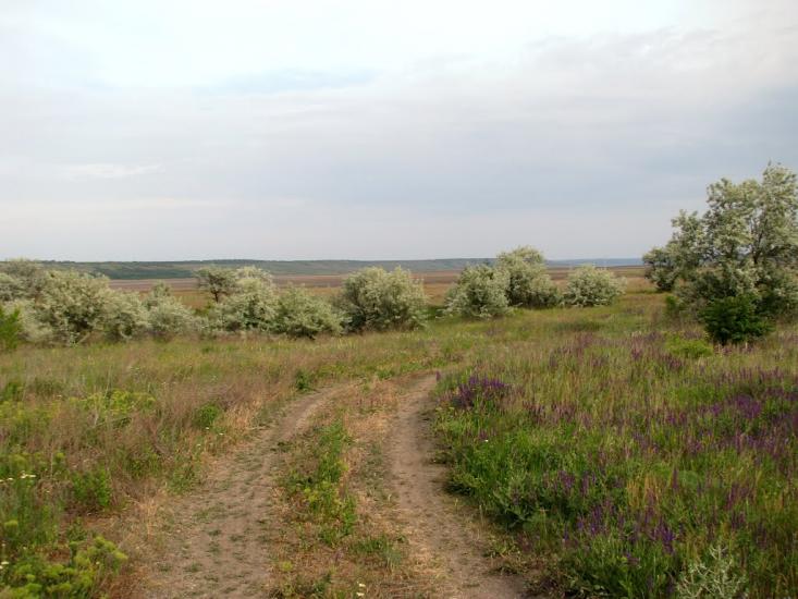 Стара Еметівка з panoramio.com - Стара Еметівка