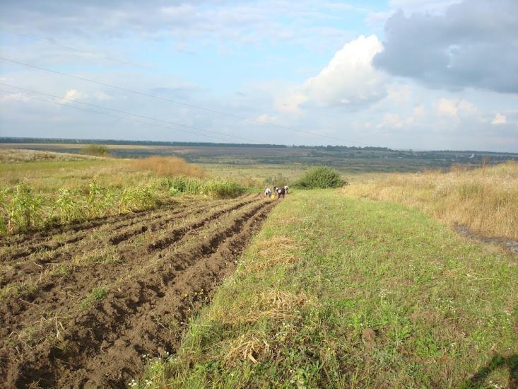 Миколаїв з panoramio.com - Mykolaiv