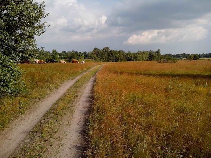 Приліпка з panoramio.com - Прилипка