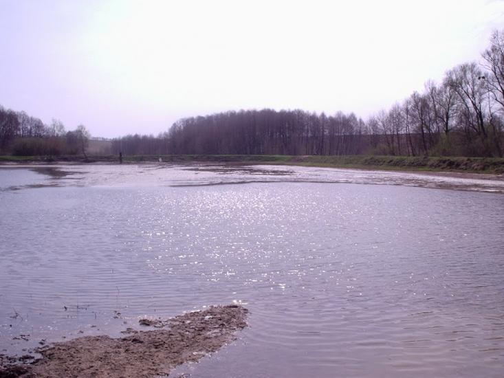 Шаліївка з panoramio.com - Шаліївка