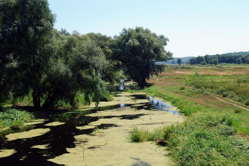 Думанці з panoramio.com - Думанці