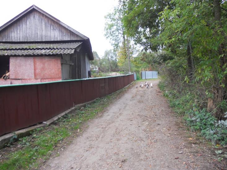 Григорів з panoramio.com - Григорів