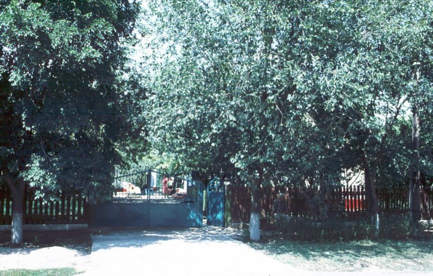 Чаплинка з panoramio.com - Чаплинка
