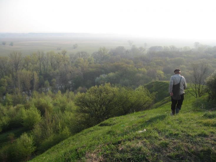 Плавні з panoramio.com - Плавні