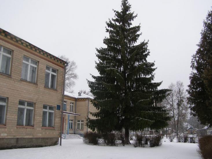 Мельники з panoramio.com - Мельники