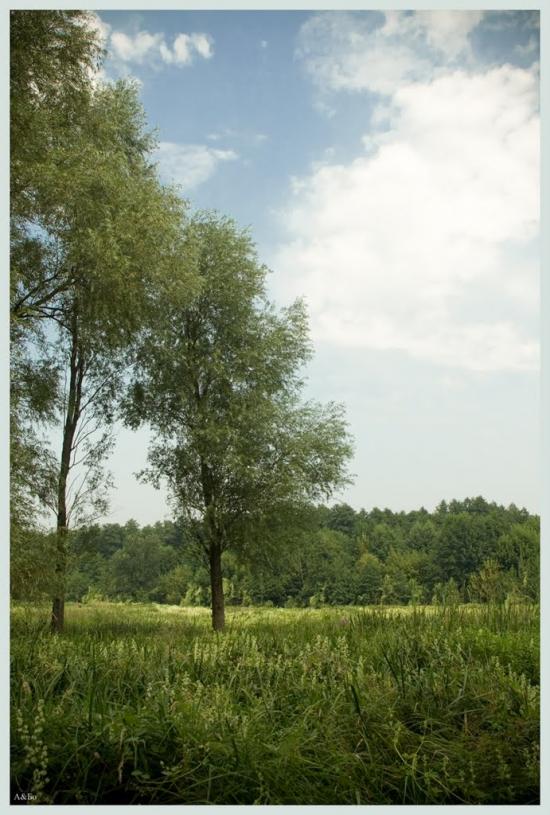 Деменці з panoramio.com - Деменці