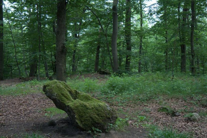 Дев'ятир з panoramio.com - Девятир