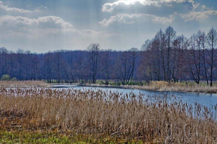 Першотравневе з panoramio.com - Першотравневе