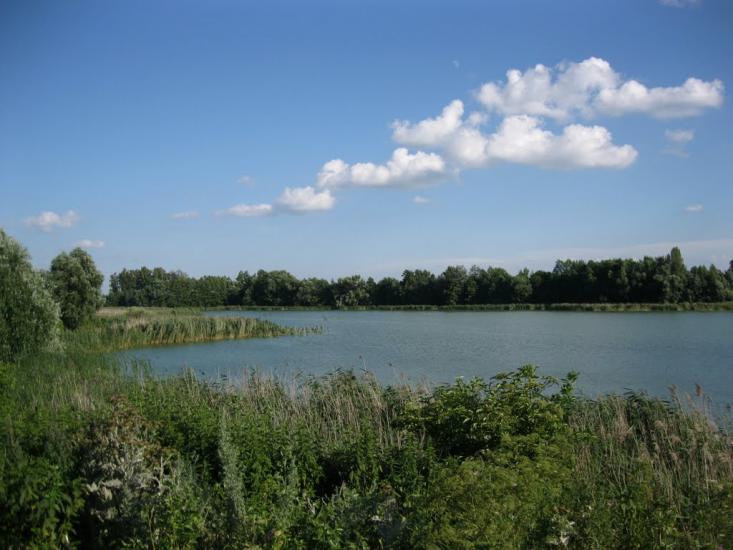 Грузьке з panoramio.com - Грузьке