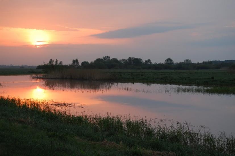 Комарове з panoramio.com - Комарове