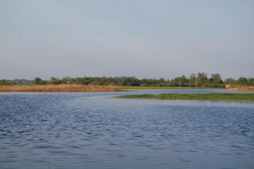 Комарове з panoramio.com - Комарове