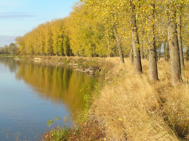 Лебедівка з panoramio.com - Лебедівка