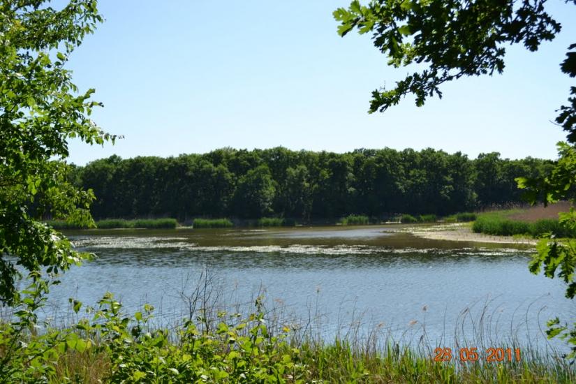 Кримське з panoramio.com - Крымское