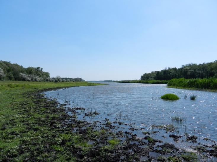 Львів з panoramio.com - Львів