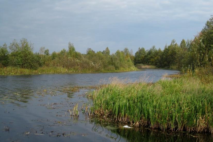 Млин з panoramio.com - Mlyn