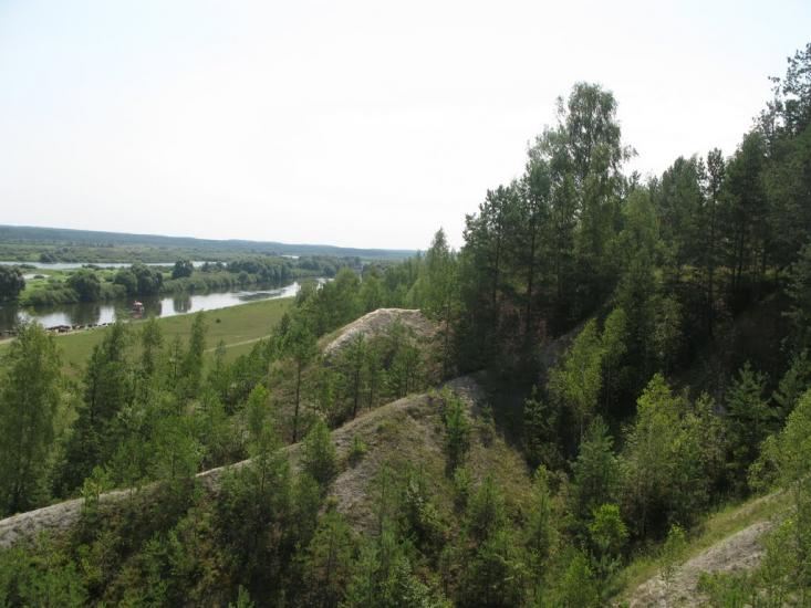 Рогівка з panoramio.com - Роговка