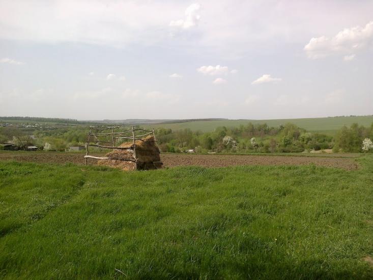 Білоусівка з panoramio.com - Білоусівка