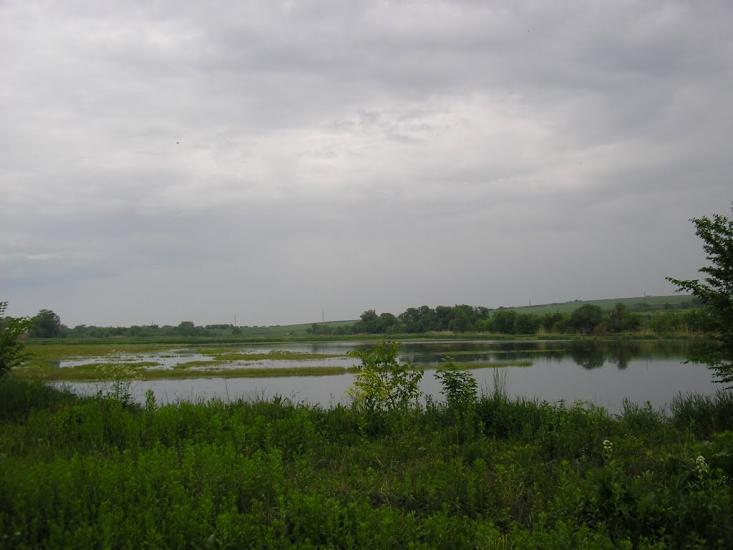 Кіцмань з panoramio.com - Kitsman
