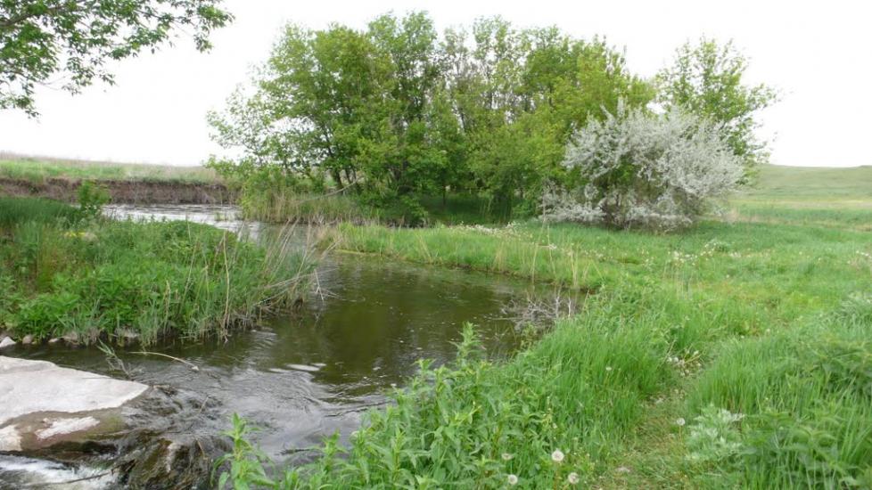 Новокатеринівка з panoramio.com - Новокатериновка