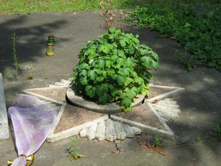 Незвисько з panoramio.com - Незвисько