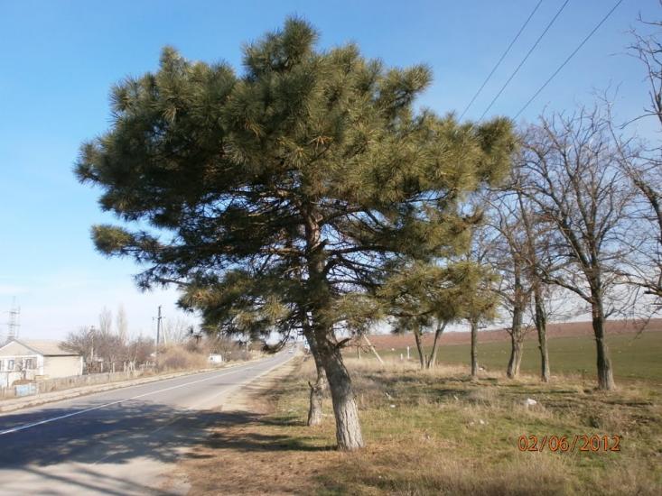 Углове з panoramio.com - Углове