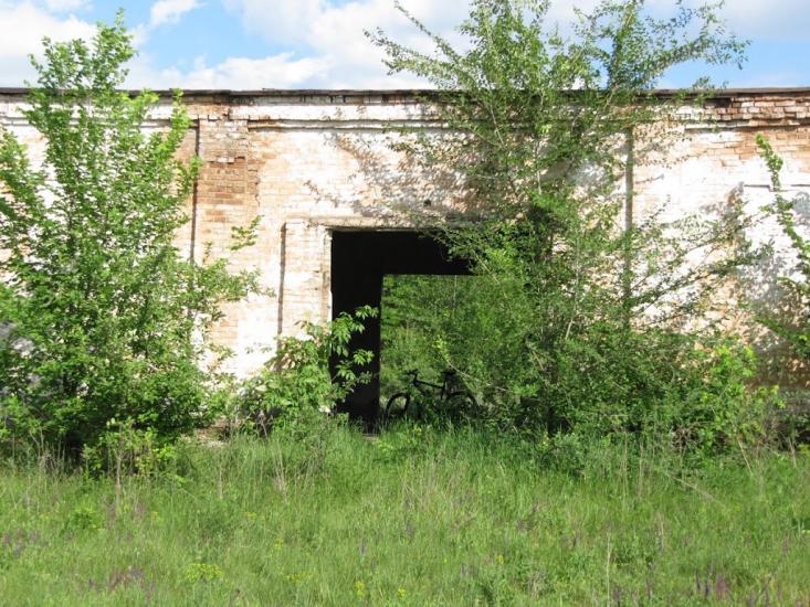 Зелений Гай з panoramio.com - Зеленый Гай