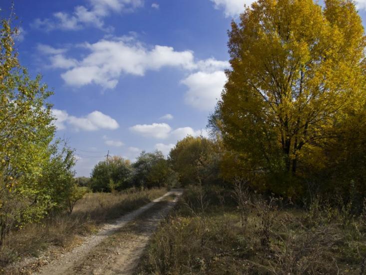 Львів з panoramio.com - Львів