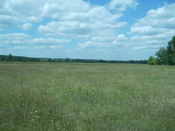 Дергачі з panoramio.com - Дергачи