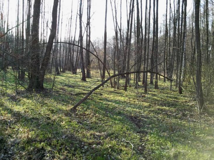 Пороскотень з panoramio.com - Пороскотень