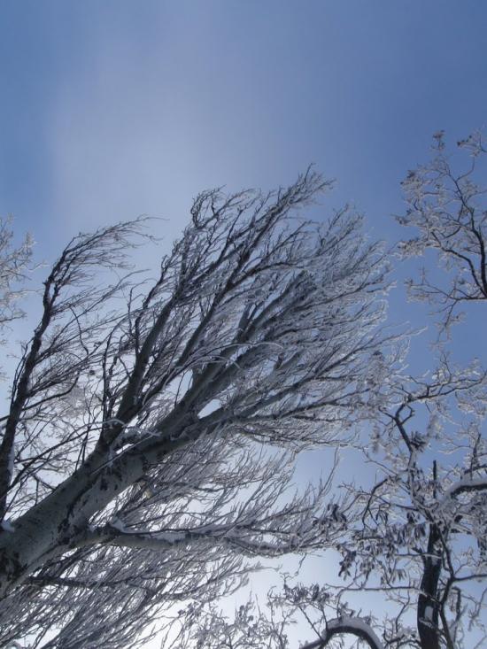 Усатове з panoramio.com - Усатове