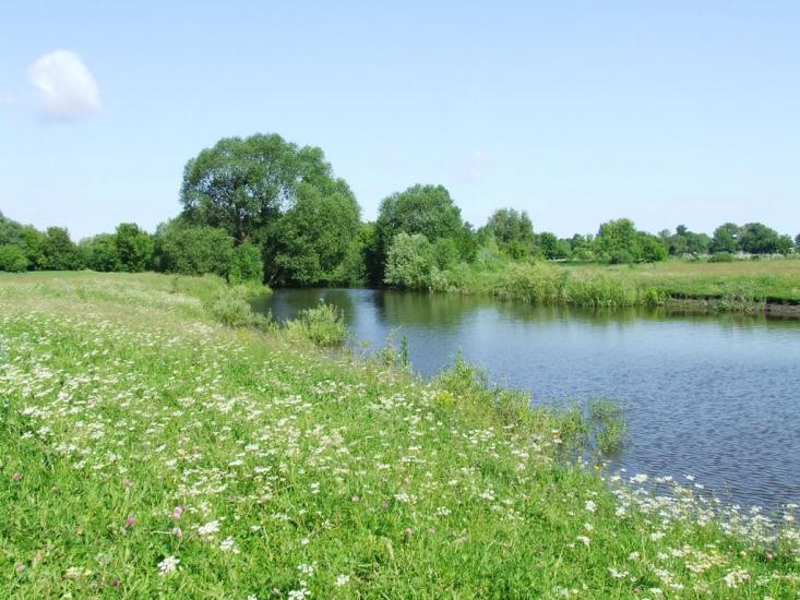 Рубанка з panoramio.com - Рубанка
