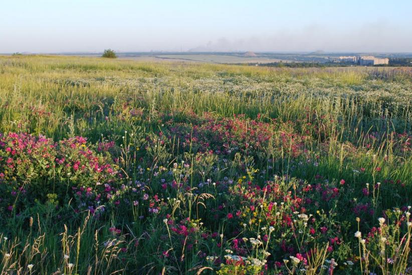 Кіровськ з panoramio.com - Кировск