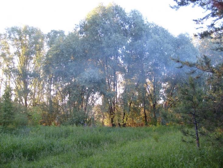 Комишуваха з panoramio.com - Комишуваха