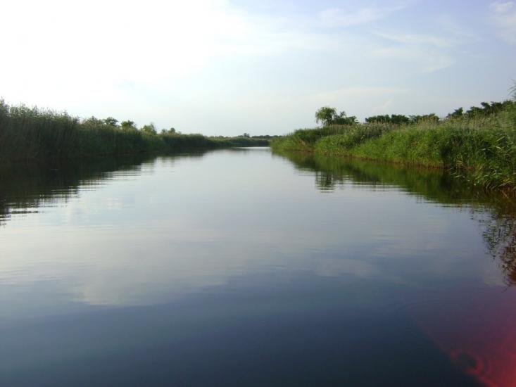 Комар з panoramio.com - Комар