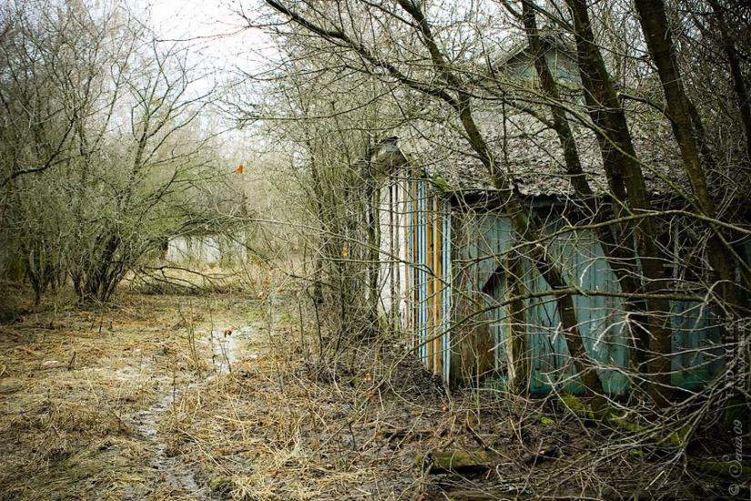 Дитятки з panoramio.com - Дитятки