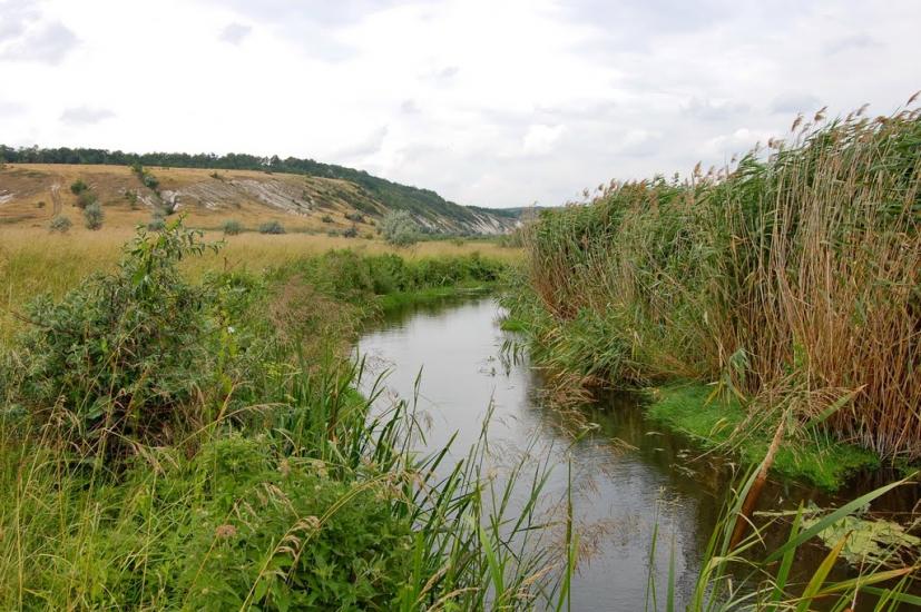 Мілуватка з panoramio.com - Мілуватка