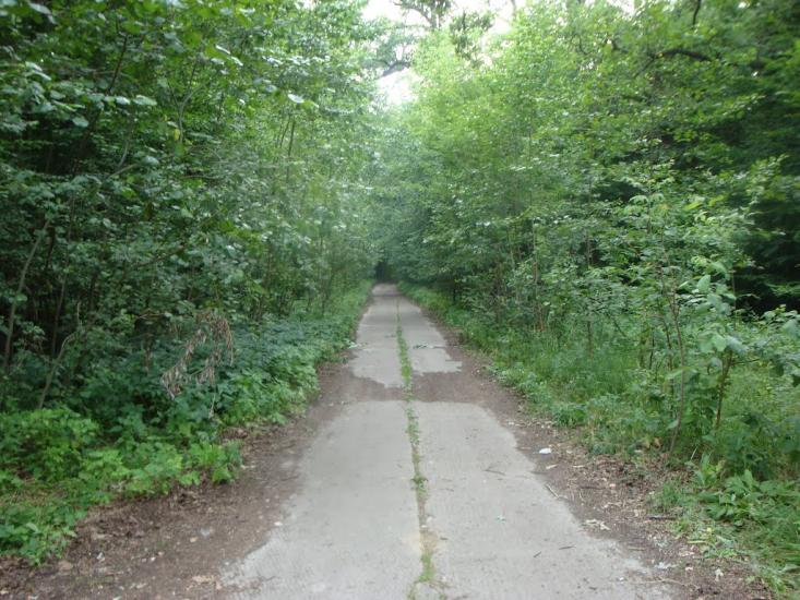 Великі Коровинці з panoramio.com - Великі Коровинці